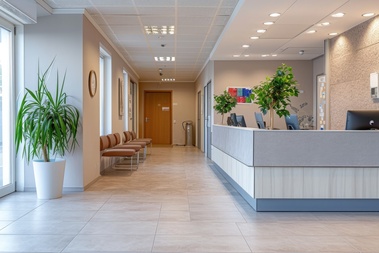 Les maisons de santé pluriprofessionnelles 